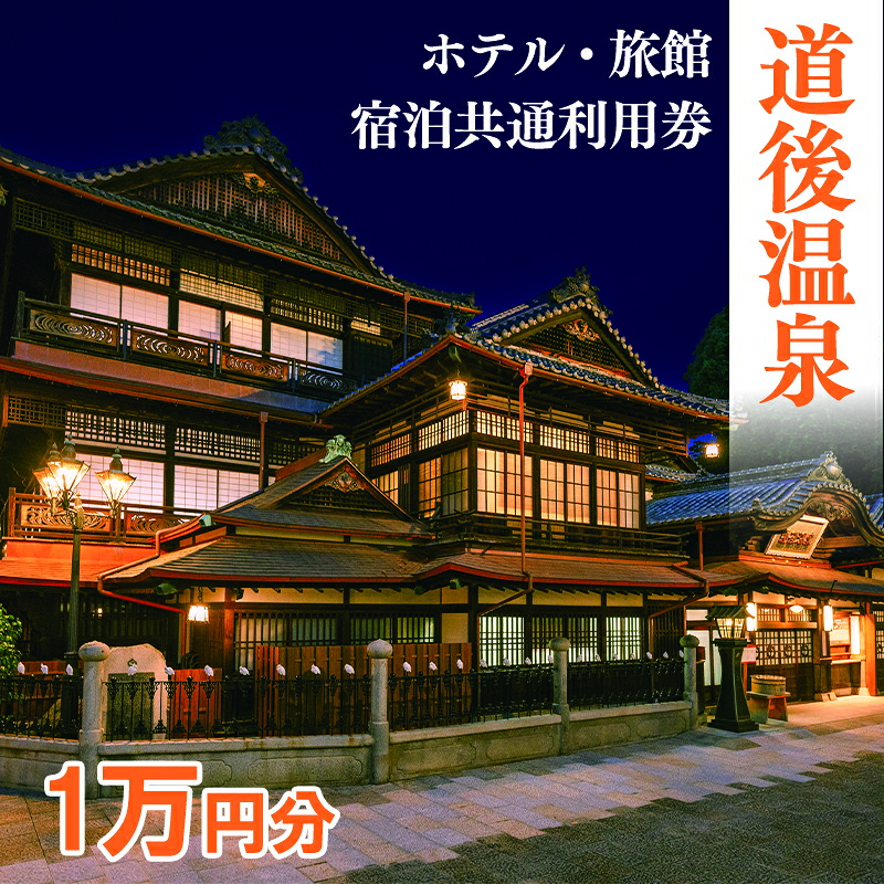ホテル 旅館 宿泊 共通利用券 10 000円