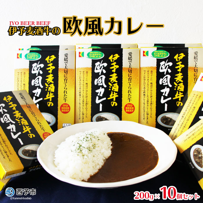 ご当地カレー「伊予麦酒牛の欧風カレー」レトルト食品 惣菜 加工品 キャンプ 夜食 保存食 非常食 防災 備蓄 長期保存 ローリングストック アール・シー・フードパック 特産品 愛媛県 西予市