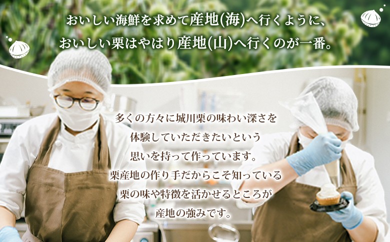 ＜和栗のテリーヌ（1個）＞ 栗 くり お菓子 洋菓子 マロン ケーキ スイーツ デザート お取り寄せ 特産品 メニークエスト