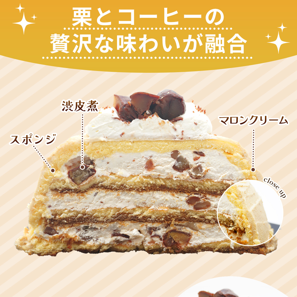 ＜マロンケーキ「お山のカフェまろん」5号 1個＞ 栗 洋菓子 お菓子 おかし スイーツ デザート 15cm コーヒー 珈琲 クリーム モンブラン 渋皮煮 濃厚 スポンジケーキ ドーム型 おうちカフェ メニークエスト