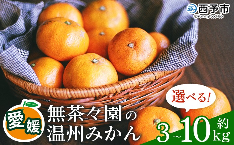 無茶々園 温州みかん 約3kg~10kg　果物 くだもの ミカン 蜜柑 柑橘 フルーツ うんしゅうみかん 選べる内容量 贈り物 ギフト おいしい 期間限定 季節限定 食べて応援 特産品