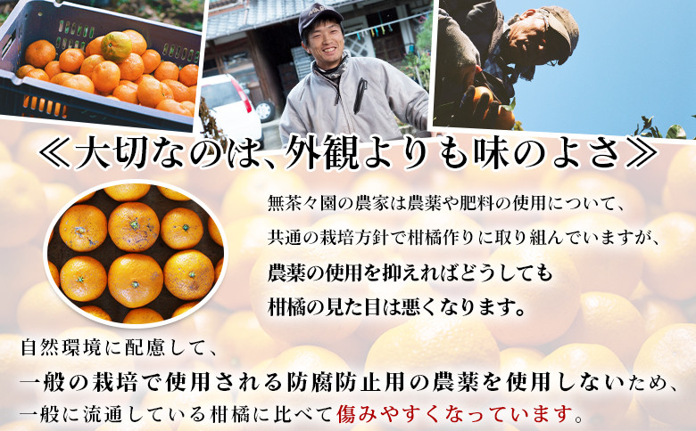 無茶々園 温州みかん 約3kg~10kg 果物 くだもの ミカン 蜜柑 柑橘 フルーツ うんしゅうみかん 選べる内容量 贈り物 ギフト おいしい 期間限定 季節限定 食べて応援 特産品