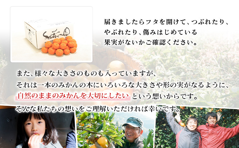 無茶々園 温州みかん 約3kg~10kg 果物 くだもの ミカン 蜜柑 柑橘 フルーツ うんしゅうみかん 選べる内容量 贈り物 ギフト おいしい 期間限定 季節限定 食べて応援 特産品