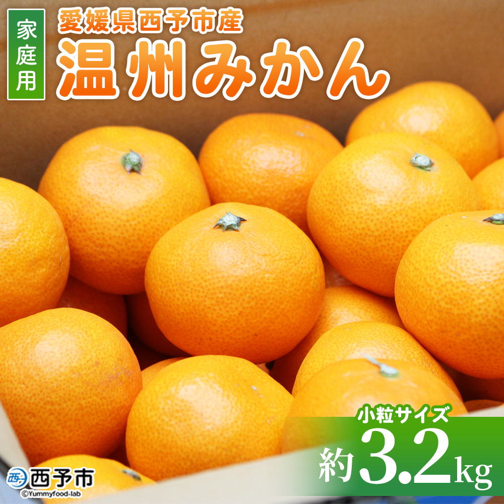 ＜愛媛県西予市産 温州みかん 小粒サイズ 家庭用 約3.2kg＞ 愛媛県産 西宇和 小玉 小さめ 家庭用 果物 フルーツ 柑橘 うんしゅうみかん ウンシュウミカン オレンジ ミカン 蜜柑