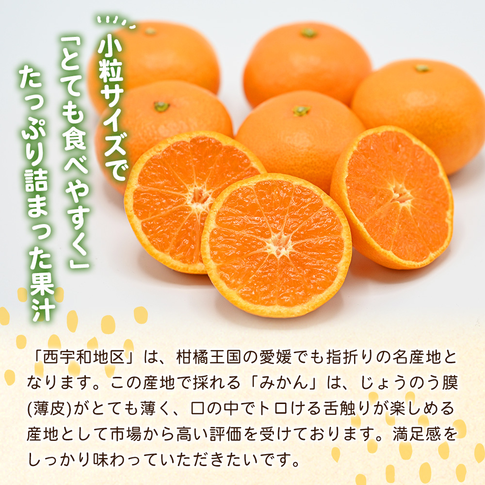 <愛媛県西予市産 温州みかん 小粒サイズ 家庭用 約3.2kg> 愛媛県産 西宇和 小玉 小さめ 家庭用 果物 フルーツ 柑橘 うんしゅうみかん ウンシュウミカン オレンジ ミカン 蜜柑