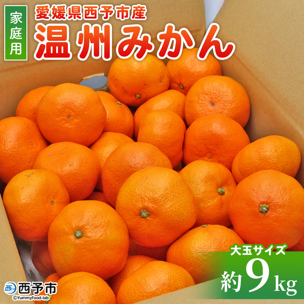 ＜愛媛県西予市産 温州みかん 大玉サイズ 家庭用 約9kg＞ 愛媛県産 西宇和 大玉 大きめ 家庭用 果物 フルーツ 柑橘 うんしゅうみかん ウンシュウミカン オレンジ ミカン