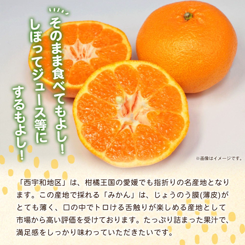 <愛媛県西予市産 温州みかん 大玉サイズ 家庭用 約9kg> 愛媛県産 西宇和 大玉 大きめ 家庭用 果物 フルーツ 柑橘 うんしゅうみかん ウンシュウミカン オレンジ ミカン