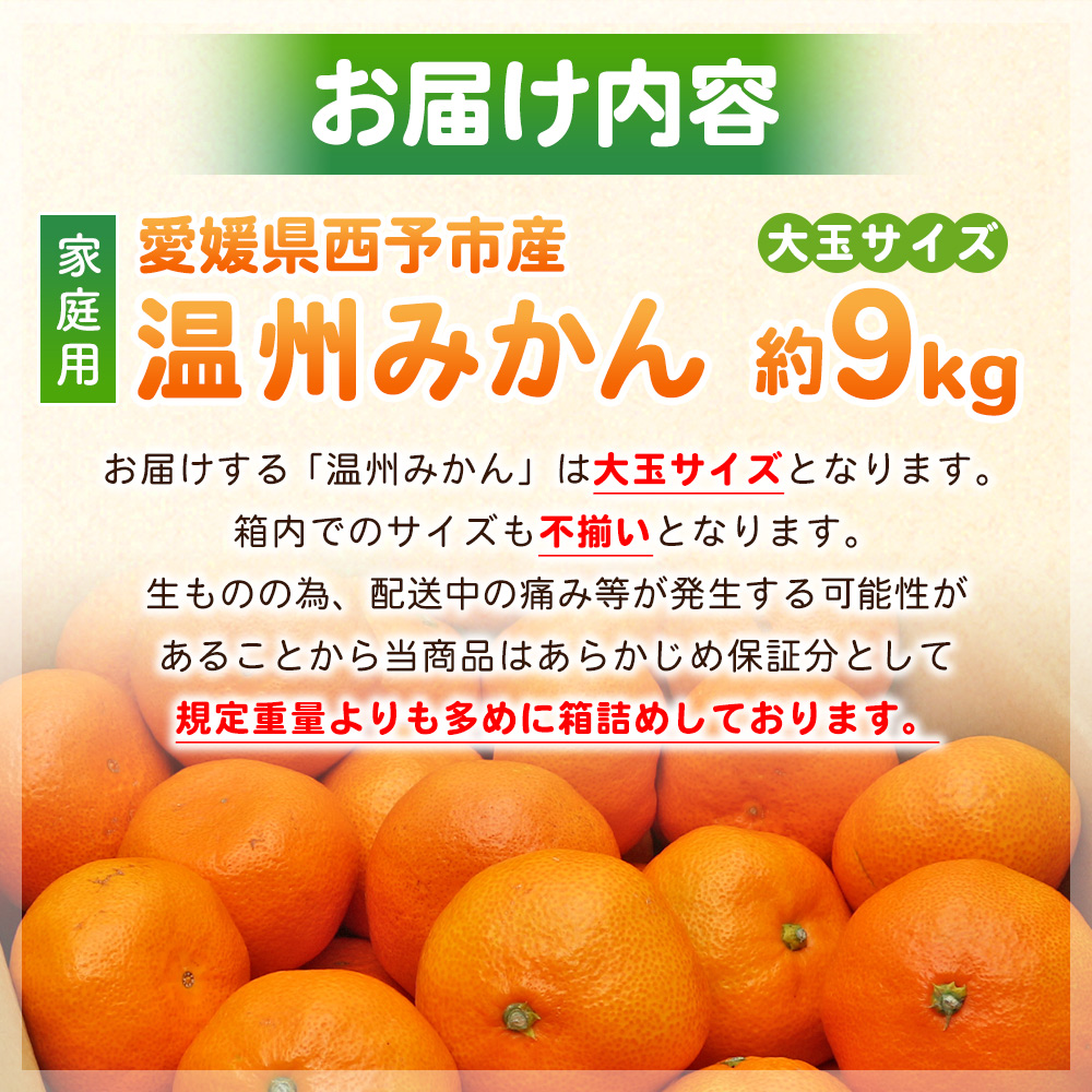 <愛媛県西予市産 温州みかん 大玉サイズ 家庭用 約9kg> 愛媛県産 西宇和 大玉 大きめ 家庭用 果物 フルーツ 柑橘 うんしゅうみかん ウンシュウミカン オレンジ ミカン