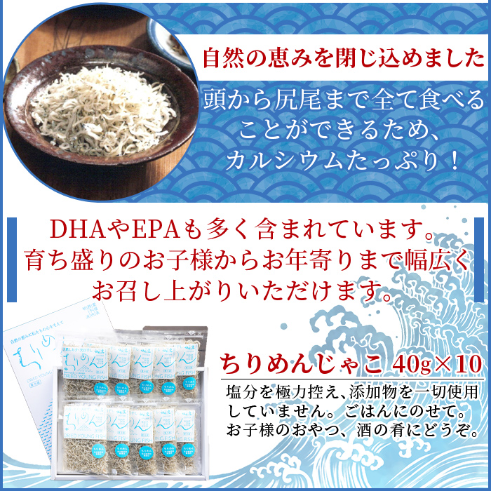 ＜天日干し 特上ちりめん 合計400g（40g×10袋）ギフト箱入り＞ テレビ TV じゃこ しらす 小魚 さかな ごはんのお供 贈答 贈り物 御礼 お礼 小分け 海鮮 海産物 おつまみ おやつ 産地直送 網元・祇園丸
