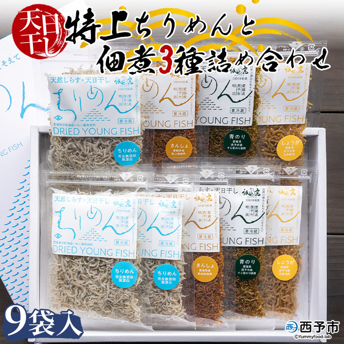 天日干し　特上ちりめんと佃煮３種詰め合わせ　９袋入 【ギフト箱入】