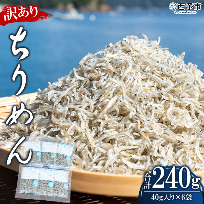 <訳あり ちりめん 合計240g(40g入り×6袋)> しらす シラス じゃこ 小分け おすそ分け 魚 さかな 小魚 海産物 水産加工品 おにぎり 具材 おつまみ おやつ ご家庭用