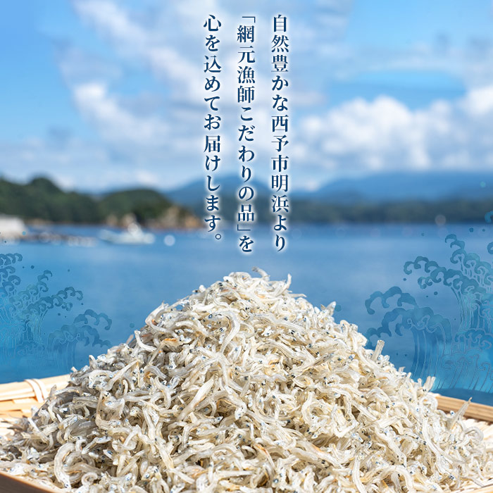 <訳あり ちりめん 合計240g(40g入り×6袋)> しらす シラス じゃこ 小分け おすそ分け 魚 さかな 小魚 海産物 水産加工品 おにぎり 具材 おつまみ おやつ ご家庭用