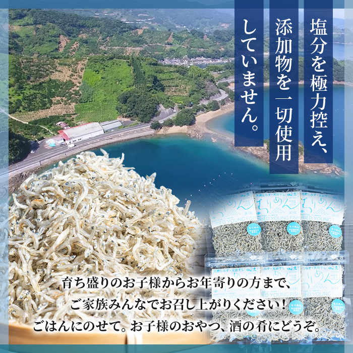 <訳あり ちりめん 合計240g(40g入り×6袋)> しらす シラス じゃこ 小分け おすそ分け 魚 さかな 小魚 海産物 水産加工品 おにぎり 具材 おつまみ おやつ ご家庭用