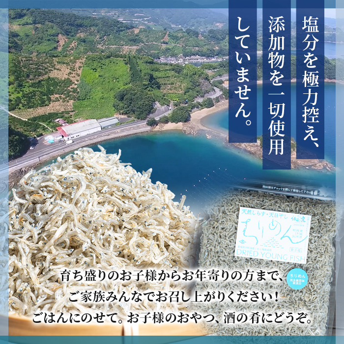 ＜訳あり ちりめん 300g入り 1袋＞ しらす シラス じゃこ 魚 さかな 小魚 海鮮 海産物 水産加工品 おにぎり 具材 おつまみ おやつ ご家庭用