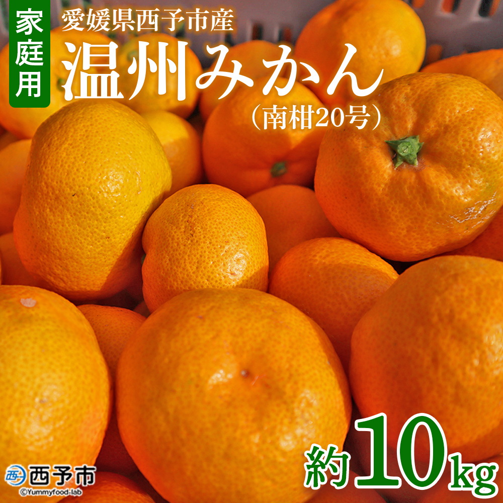 ＜愛媛県西予市産 温州みかん（南柑20号）家庭用 約10kg（サイズ不揃い・小傷あり）＞ 訳あり 果物 くだもの ミカン 柑橘 フルーツ 食べて応援