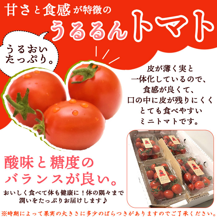 甘くて濃厚な味わい「うるるんトマト」(2kg）