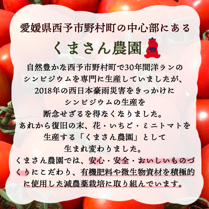甘くて濃厚な味わい「うるるんトマト」(2kg）