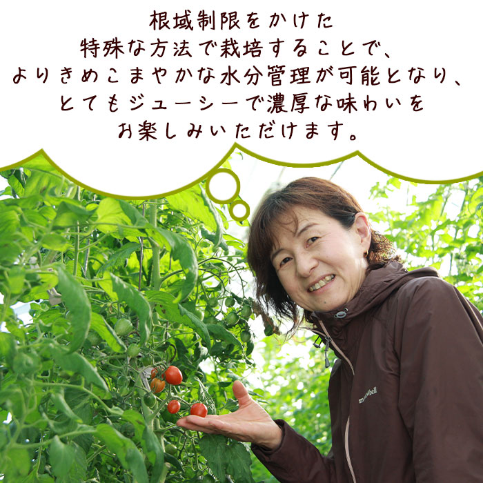 甘くて濃厚な味わい「うるるんトマト」(2kg）