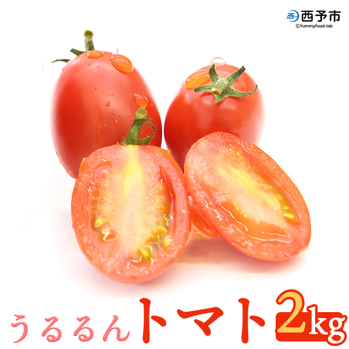 甘くて濃厚な味わい「うるるんトマト」(2kg）