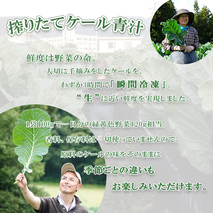 ＜ファンケル 搾りたてケール青汁 3000g (100g×15袋)×2箱＞ 濃縮野菜 国産 あおじる 化学農薬不使用 飲料 ドリンク 小分け FANCL ファンケル 産地直送