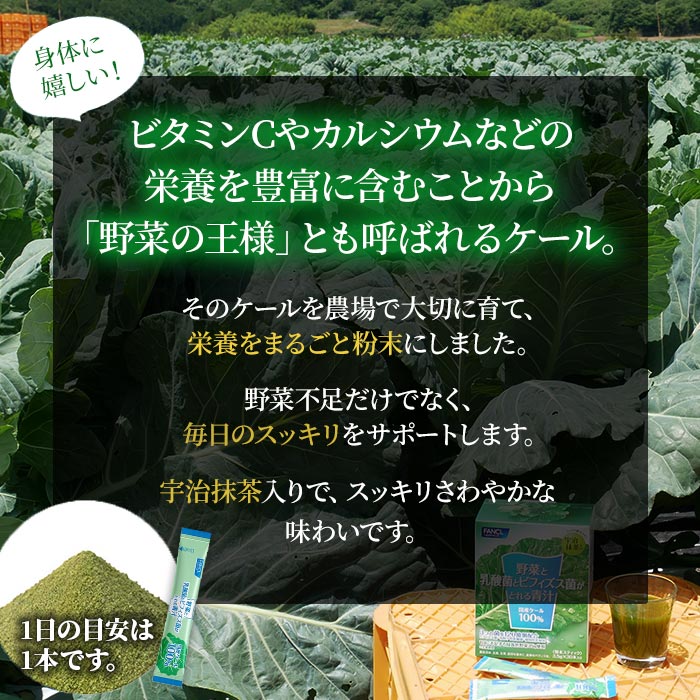 ＜野菜と乳酸菌とビフィズス菌がとれる青汁 1箱（3.5g×30本入）＞ ケール 粉末 スティック 溶けやすい すっきり 濃縮 無糖 化学農薬不使用