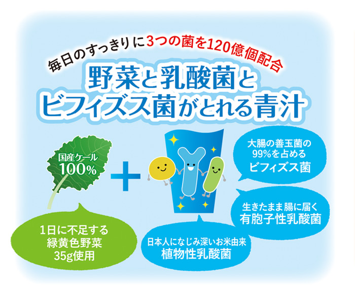 ＜野菜と乳酸菌とビフィズス菌がとれる青汁 1箱（3.5g×30本入）＞ ケール 粉末 スティック 溶けやすい すっきり 濃縮 無糖 化学農薬不使用
