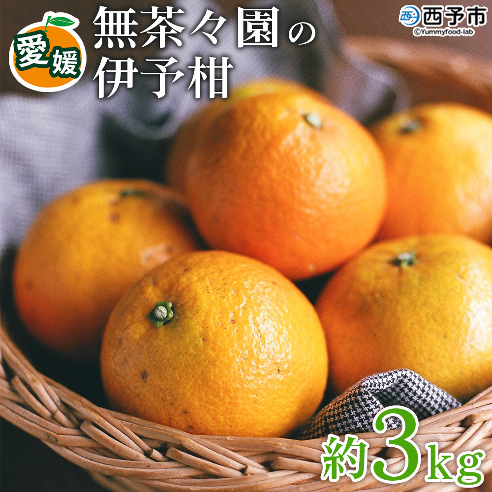 <無茶々園の伊予柑 約3kg> 【先行予約】果物 いよかん イヨカン みかん ミカン 蜜柑 柑橘 フルーツ 選べる内容量 期間限定 季節限定