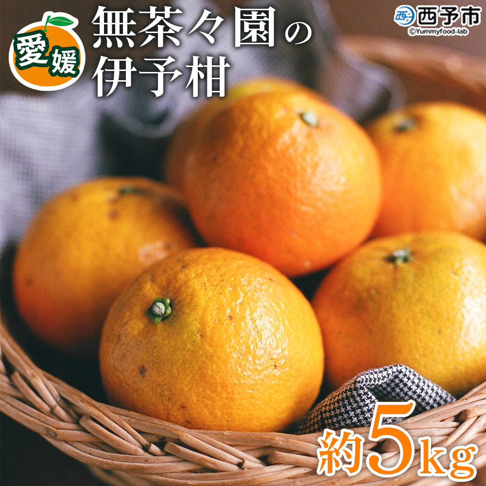 ＜無茶々園の伊予柑 約5kg＞ 【先行予約】果物 いよかん イヨカン みかん ミカン 蜜柑 柑橘 フルーツ 選べる内容量 期間限定 季節限定