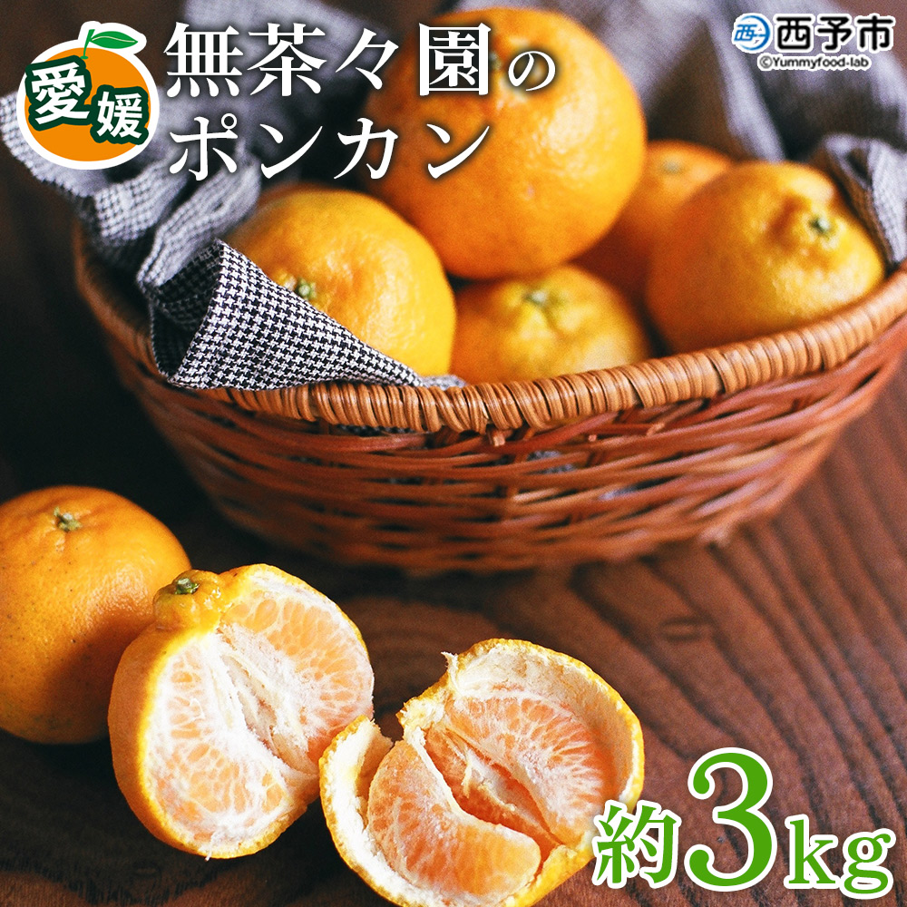 <無茶々園のポンカン 約3kg>【先行予約】 果物 くだもの フルーツ ぽんかん みかん 蜜柑 柑橘類 かんきつ 旬 甘い 濃厚 新鮮 期間限定 季節限定 産地直送 特産品