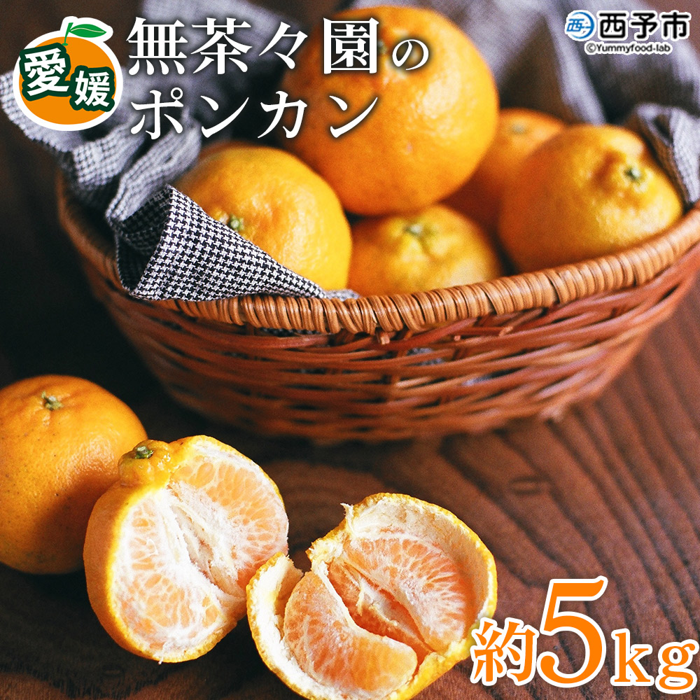 ＜無茶々園のポンカン 約5kg＞【先行予約】 果物 くだもの フルーツ ぽんかん みかん 蜜柑 柑橘類 かんきつ 旬 甘い 濃厚 新鮮 期間限定 季節限定 産地直送 特産品