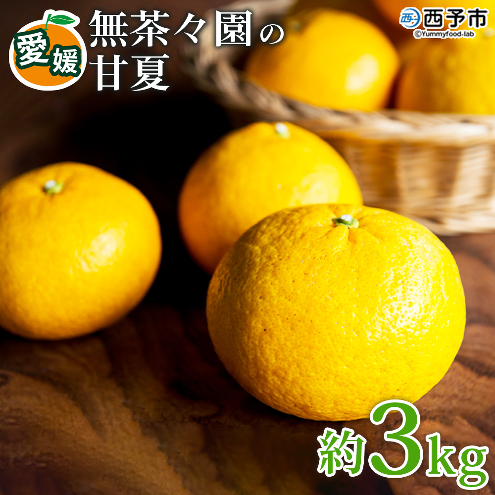 【先行予約】＜無茶々園の甘夏 約3kg＞ 果物 あまなつ みかん ミカン 蜜柑 柑橘 フルーツ 期間限定 季節限定