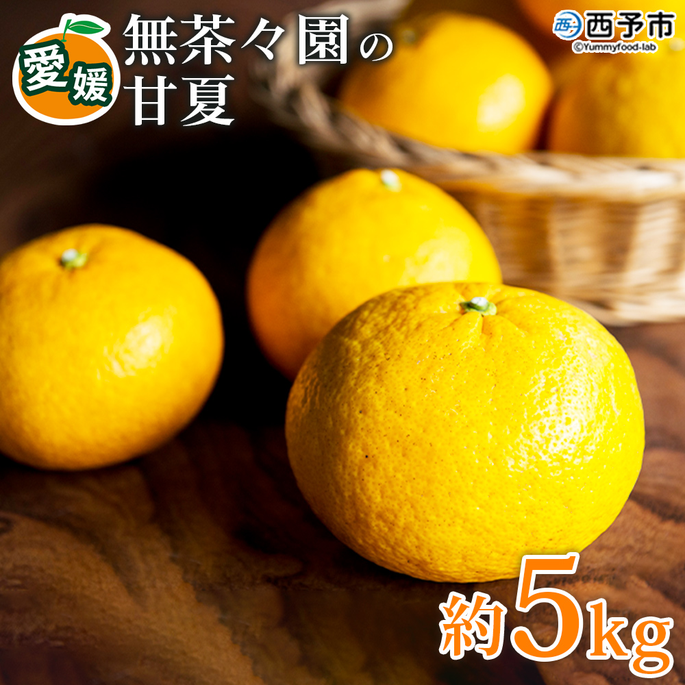 【先行予約】＜無茶々園の甘夏 約5kg＞ 果物 あまなつ みかん ミカン 蜜柑 柑橘 フルーツ 期間限定 季節限定