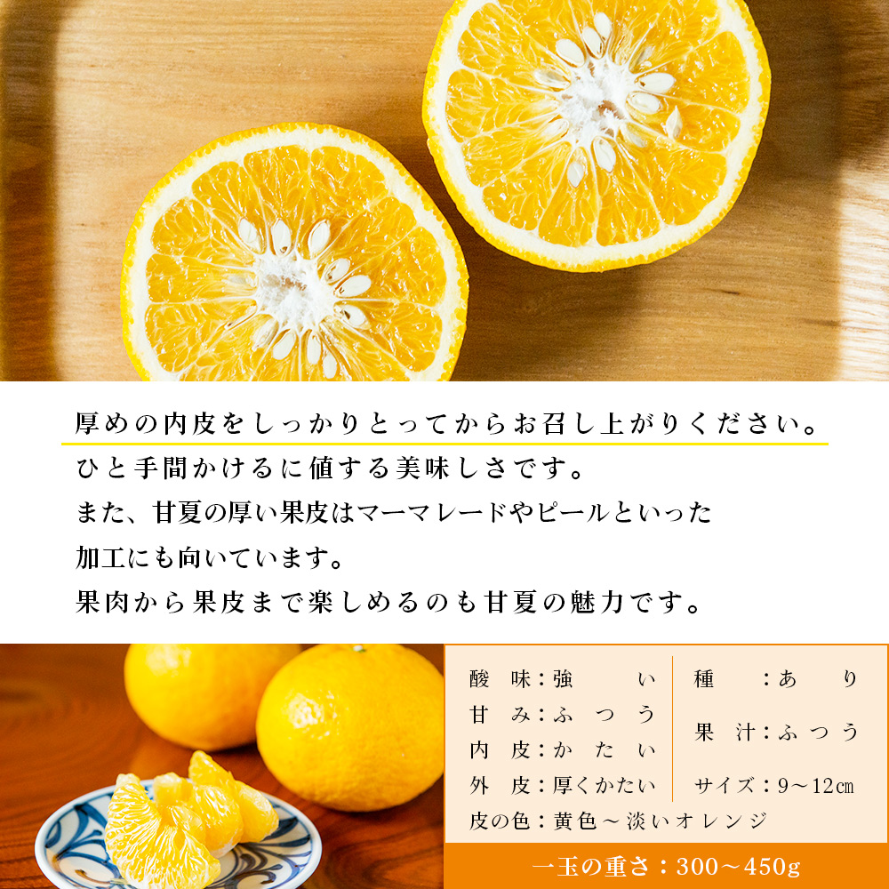 【先行予約】＜無茶々園の甘夏 約5kg＞ 果物 あまなつ みかん ミカン 蜜柑 柑橘 フルーツ 期間限定 季節限定