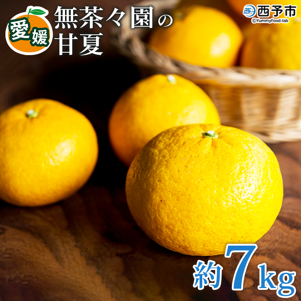 【先行予約】＜無茶々園の甘夏 約7kg＞ 果物 あまなつ みかん ミカン 蜜柑 柑橘 フルーツ 期間限定 季節限定