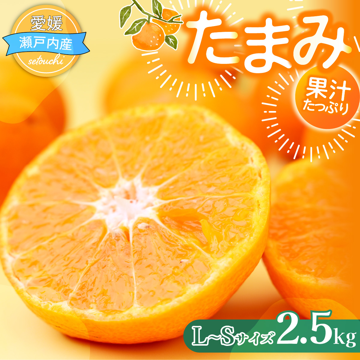 ＜先行受付＞たまみ 秀L～Sサイズ 2.5kg