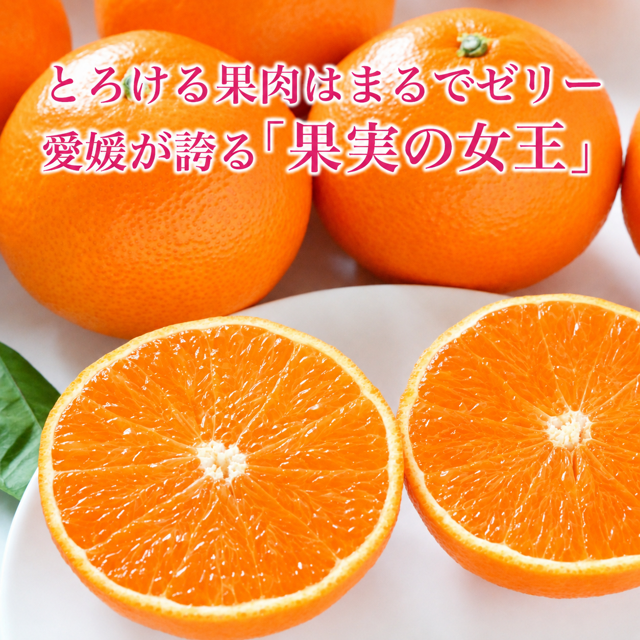 紅まどんな【先行受付】 化粧箱 3L～L 10～15玉 まどんな