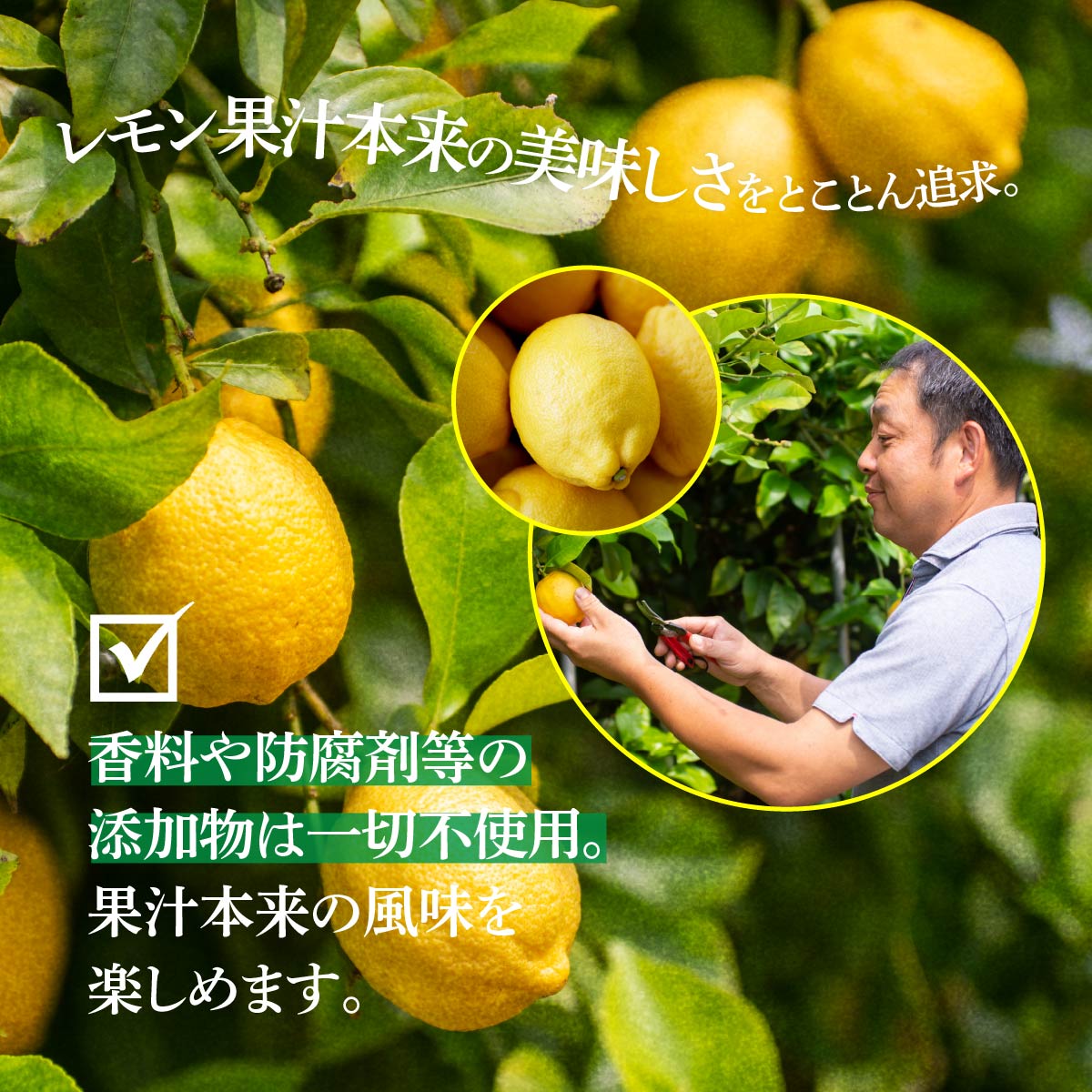 青いレモンの島 レモン果汁 150ml×5本
