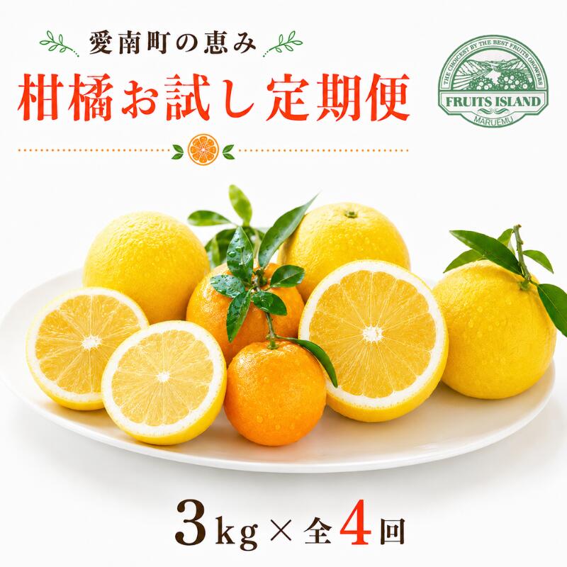 定期便 4回 4ヶ月 レモン ポンカン 美生柑 河内晩柑 柑橘 みかん 蜜柑 みしょうかん フルーツ 果物 くだもの ばんかん かんきつ ゼリー ジュース アイス マーマレード 旬 季節 限定