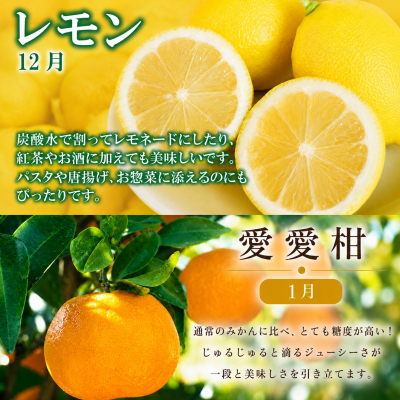 定期便 4回 4ヶ月 レモン ポンカン 美生柑 河内晩柑 柑橘 みかん 蜜柑 みしょうかん フルーツ 果物 くだもの ばんかん かんきつ ゼリー ジュース アイス マーマレード 旬 季節 限定