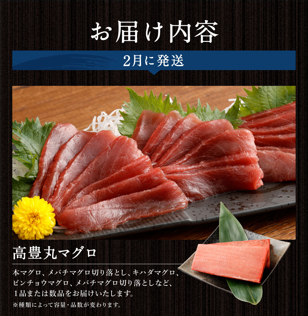 【定期便 10回】海からの贈り物 | マグロ と カツオ 鮪 鰹 ネギトロ 刺身 海産物 魚介類 まぐろたたき 魚 伊勢海老 えび 金目鯛 海鮮 冷凍 高知県 室戸市 tk007