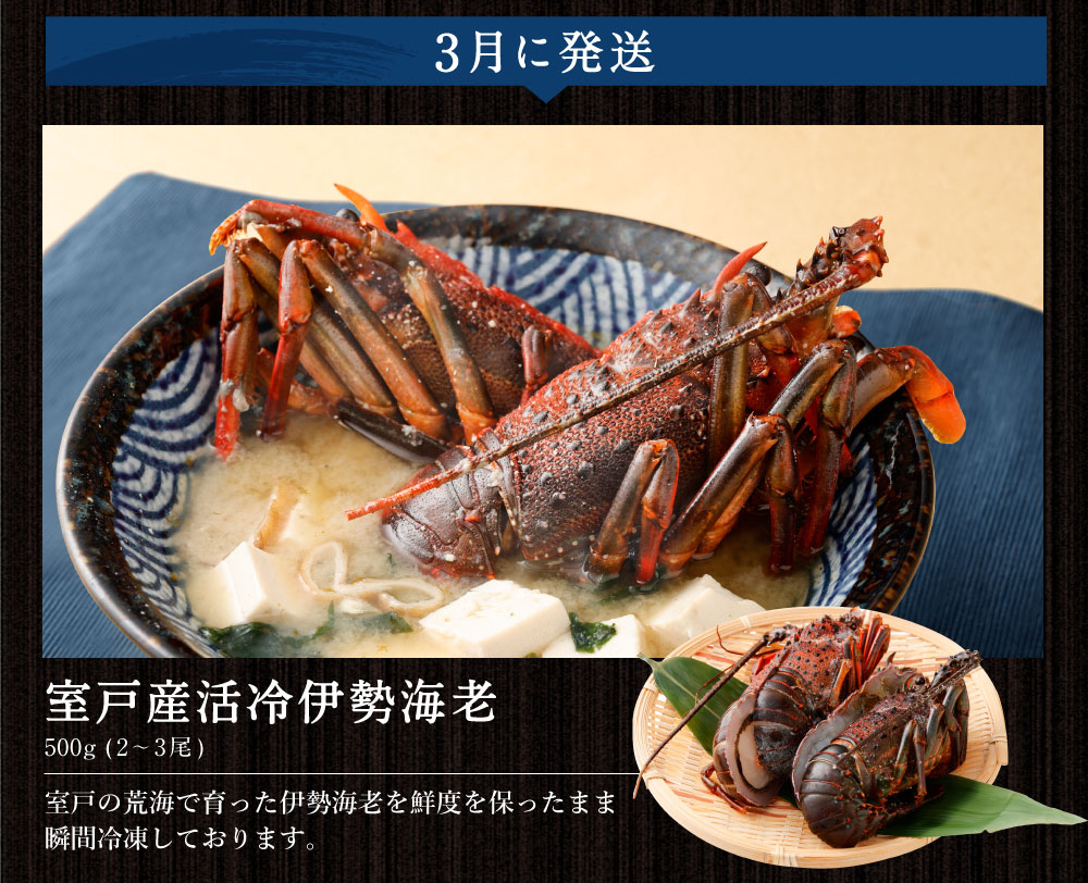 【定期便 10回】海からの贈り物 | マグロ と カツオ 鮪 鰹 ネギトロ 刺身 海産物 魚介類 まぐろたたき 魚 伊勢海老 えび 金目鯛 海鮮 冷凍 高知県 室戸市 tk007