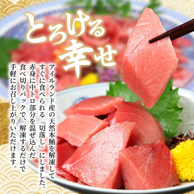 天然本マグロ 中トロ 赤身 切り落とし 200g から 1kg 小分け(100g×2パック) 訳あり マグロ 刺身 カルパッチョ まぐろ丼 まぐろ漬け丼 魚 惣菜 海鮮丼 魚介類 高知県 室戸市 tk