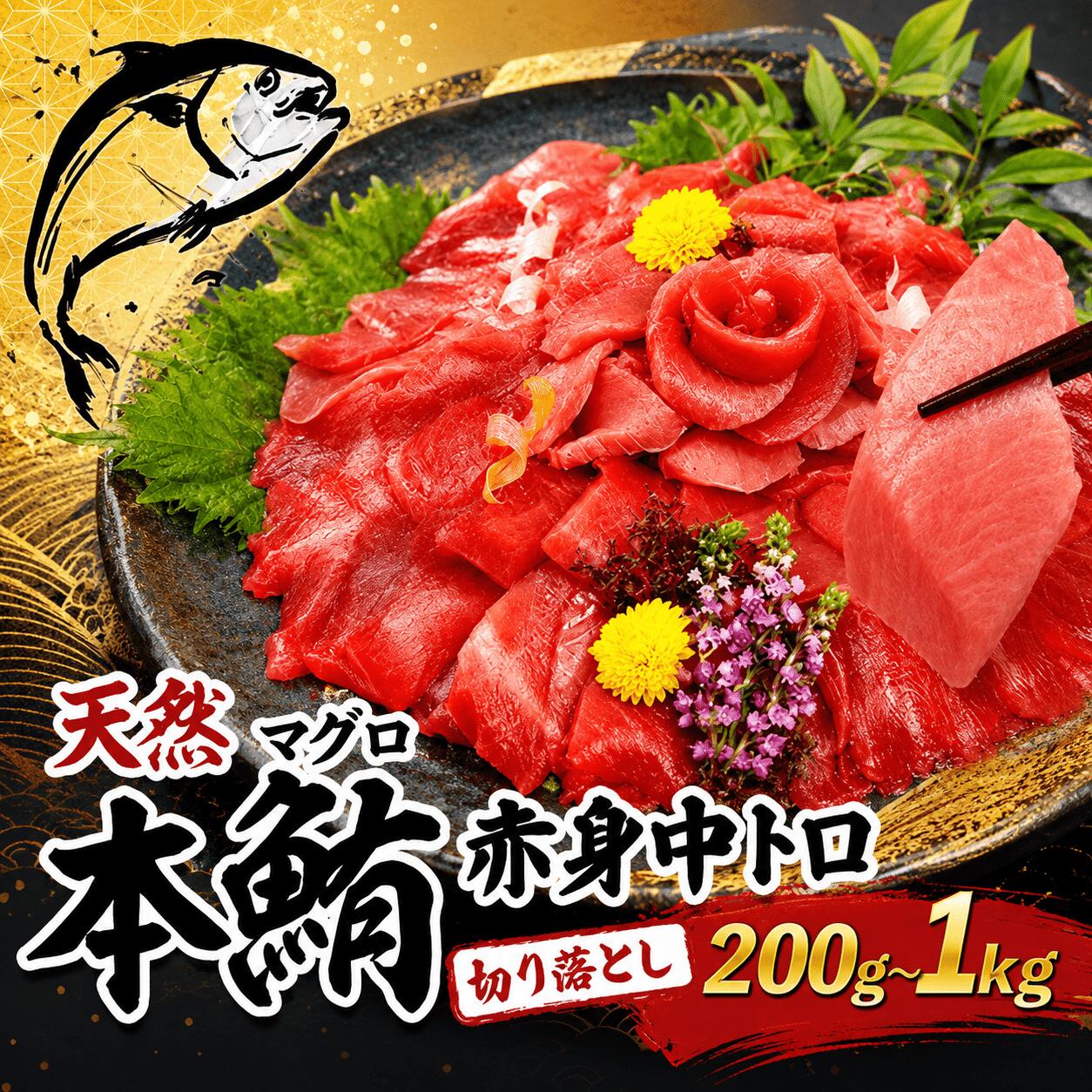 天然本マグロ 中トロ 赤身 切り落とし 200g から 1kg 小分け(100g×2パック) 訳あり マグロ 刺身 カルパッチョ まぐろ丼 まぐろ漬け丼 魚 惣菜 海鮮丼 魚介類 高知県 室戸市 tk