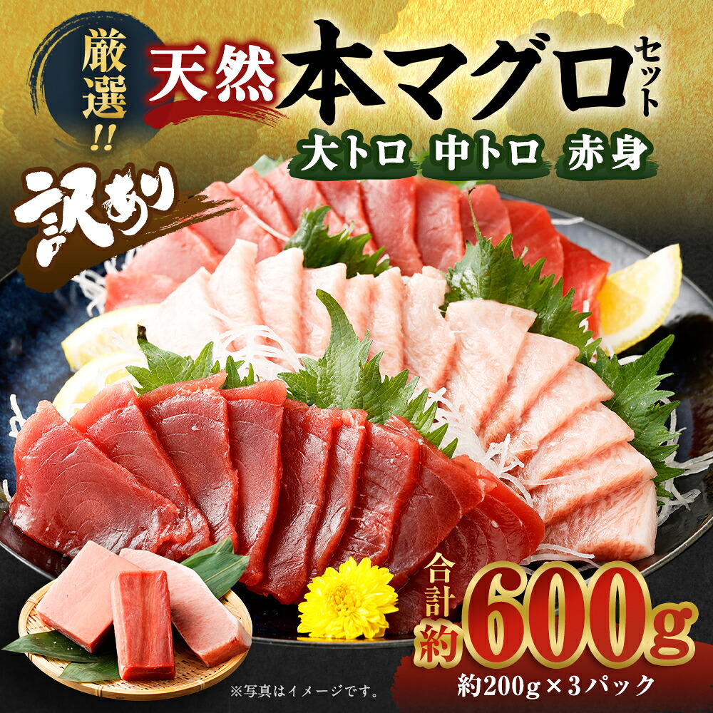 船元が直送! 厳選 天然 本マグロ 3種類 セット 合計約600g | 大トロ 200g・ 中トロ 200g・ 赤身 200g |) ふるさと納税 限定 食べ比べ サク ブロック 高知県 室戸市 ge006