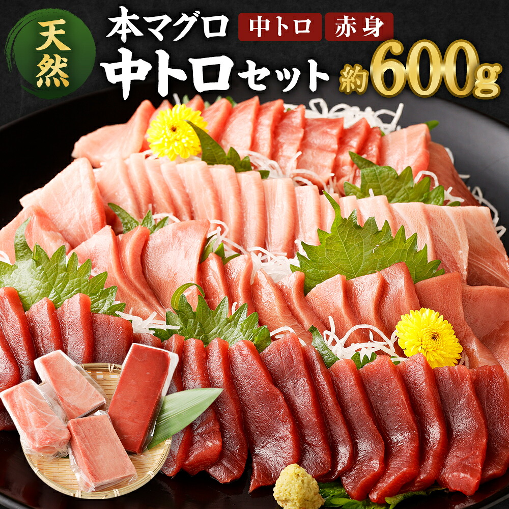 船元が直送 厳選 天然 本マグロ 中トロ セット 約600g