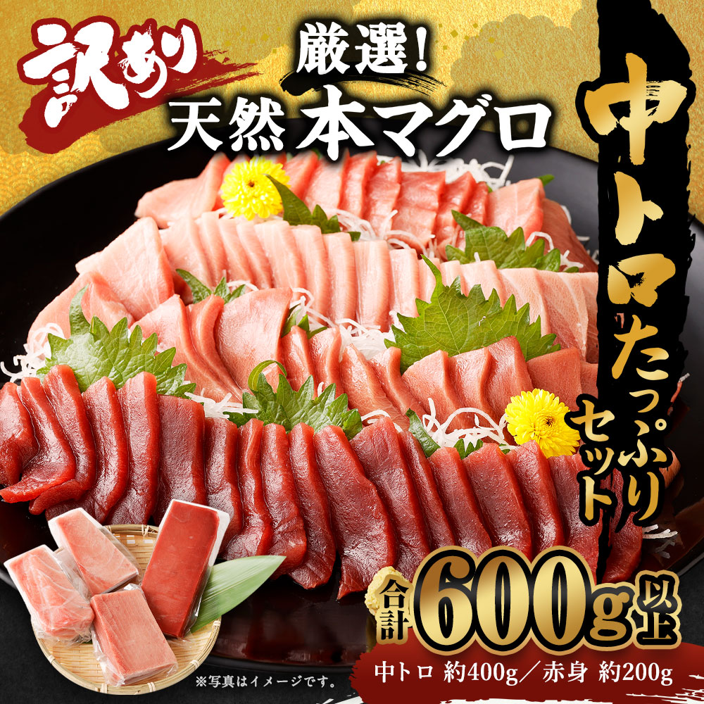 船元が直送! 厳選 天然 本マグロ 中トロたっぷりセット 約600g | 中トロ 400g 赤身 200g | 本鮪 本まぐろ クロマグロ 魚 惣菜 まぐろ 訳あり 高知県 室戸市 ge005