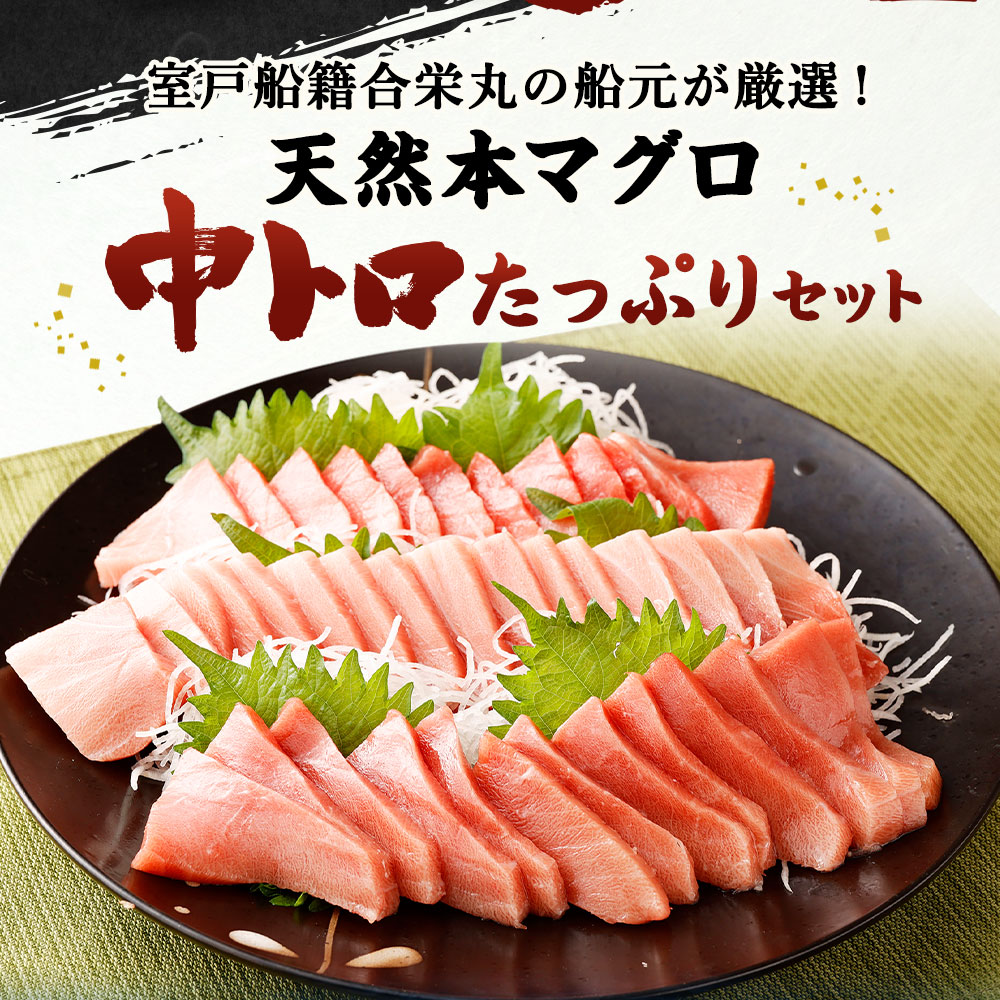 船元が直送! 厳選 天然 本マグロ 中トロたっぷりセット 約600g | 中トロ 400g 赤身 200g | 本鮪 本まぐろ クロマグロ 魚 惣菜 まぐろ 訳あり 高知県 室戸市 ge005