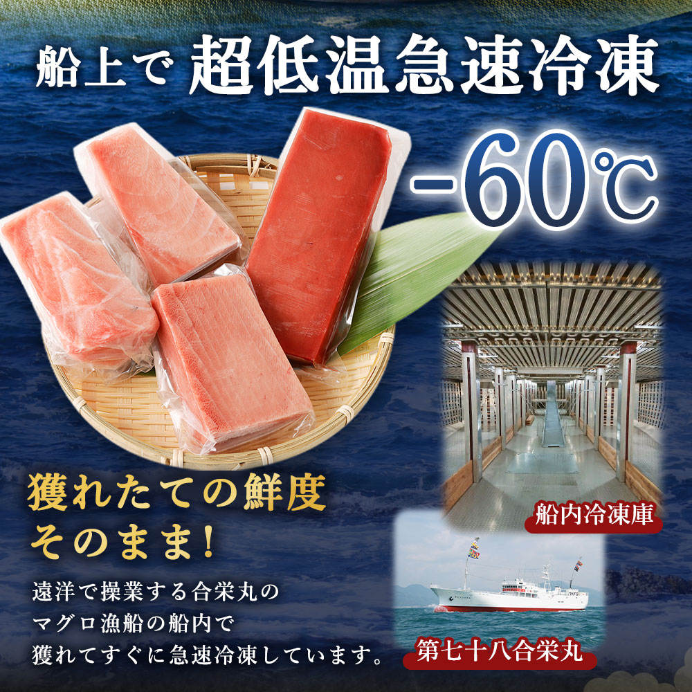 船元が直送! 厳選 天然 本マグロ 中トロたっぷりセット 約600g | 中トロ 400g 赤身 200g | 本鮪 本まぐろ クロマグロ 魚 惣菜 まぐろ 訳あり 高知県 室戸市 ge005