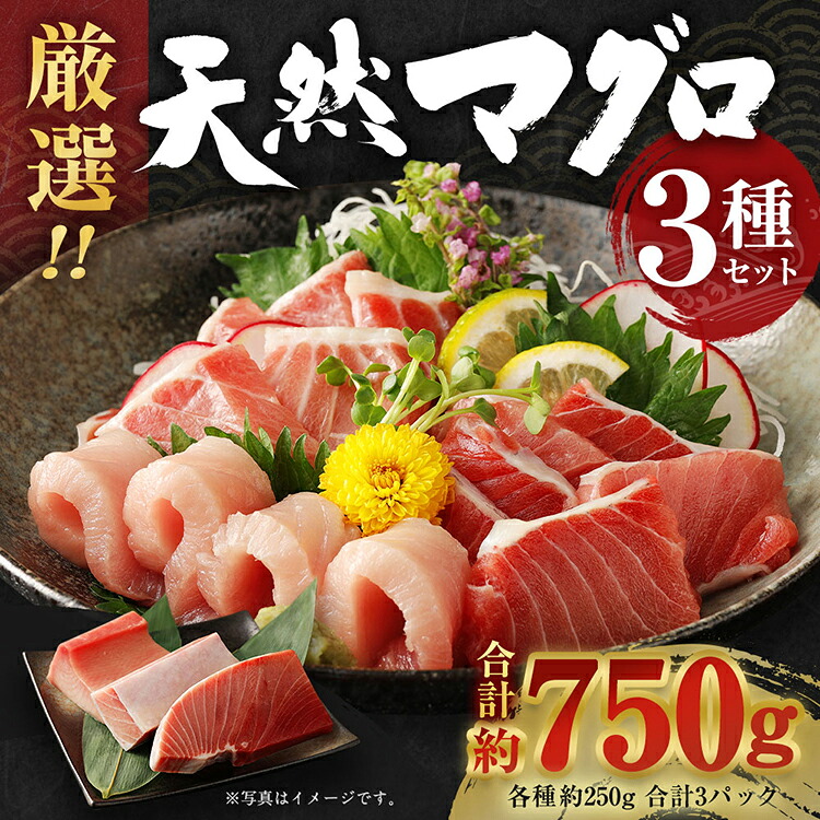 船元が直送 厳選 天然 マグロ 3種