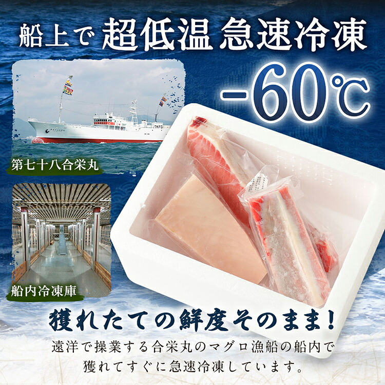船元が直送! 厳選 天然 マグロ 3種 750g以上 | ミナミマグロ鮪250g メバチ鮪250g ビンチョウ鮪400g 南 目鉢 鬢長 セット まぐろ 食べ比べ みなみまぐろ 高知県 室戸市 ge002